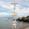 Coastal Starfish and Seashell Wall Decor with Driftwood