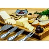 Cilio Piave Brushed Stainless Steel Cheese Knife in Wooden Box,