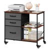 SEGAWE File Cabinet Rolling Printer Stand w/ Open Shelf Lateral
