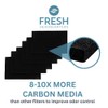 Fresh Headquarters 6-Pack Activated Carbon Filters for Litter Box -