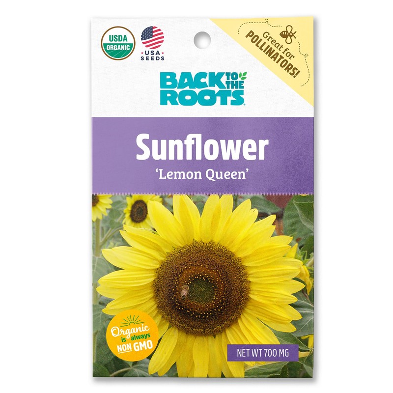 Back to the Roots Seed Packet - Sunflower 'Lemon Queen'