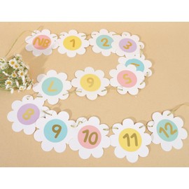 Daisy Monthly Milestone Photo Banner - Boho Daisy 1st Birthday Decor, Pastel Rainbow Daisy First Birthday 12 Month Photo Garland, Groovy One First Birthday Decoration for Girls