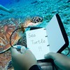 Saekodive Deluxe Underwater Notebook - Waterproof, Tear-Resistant Paper & Pencil