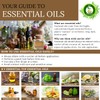 R V Essential Pure Bamboo Essential Oil 15ml (0.507oz)- (100%
