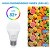 ORALUCE 12V LED Light Bulb Low Voltage,AC/DC 12-24V A19 E26