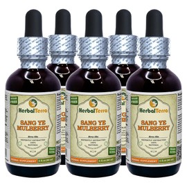 Sang Ye, Mulberry (Morus Alba) Tincture, Organic Dried Leaf Liquid Extract (Brand Name: HerbalTerra, Proudly Made in USA) 5x2 fl.oz (5x60 ml)