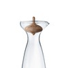 Georg Jensen Alfredo Glass Carafe