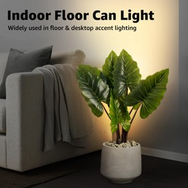 SUNVIE 2 Pack Up Lights Indoor Floor Can Light Uplighting Indoor Spotlight with 2700K GU10 Bulb Accent Lighting Floor Uplighting for Home Plant Picture, UL Listed 5.9 FT Plug Cord & Foot Switch