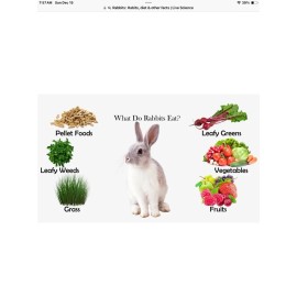 T & L Rabbitry Crushed Organic Rabbit Manure Poop Fertilizer. Whole pellets no straw.  2 pound