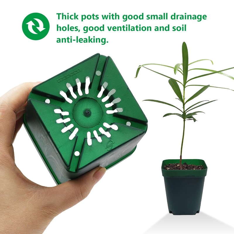 RooTrimmer Square Seedling Nursery Pots 3.15 Inches 100 Pcs for