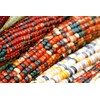 Little Seed Store 50+ORNAMENTAL RAINBOW INDIAN CORN Seeds Native Heirloom