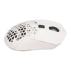 Wireless Mouse 2.4G Or BT5.1 Adjustable DPI Hollowed Out RGB