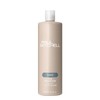 Paul Mitchell The Detangler Acondicionador, Hidrata y Mejora la Manejabilidad,