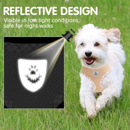 BINGPET Adjustable Dog Vest Harness and Leash Set,No Pull & No Choke Reflective Dog Harness with Padded,Lightweight All Weather Step-in Mesh Breathable Vest Harness for Small and Medium Dogs(Beige,S)