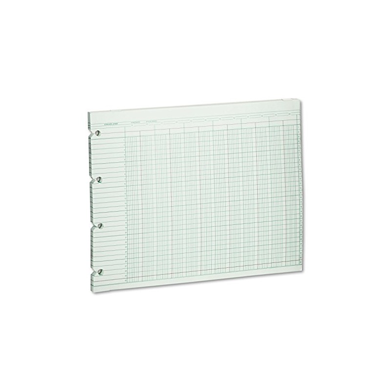Wilson Jones Green Columnar Ruled Ledger Paper, Double Page Format,
