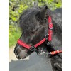 POLKA DOT HEADCOLLAR WITH LEAD ROPE FULL-MINI SHETLAND (Red, Cob)