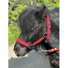 POLKA DOT HEADCOLLAR WITH LEAD ROPE FULL-MINI SHETLAND (Red, Cob)