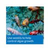 API POND ALGAEFIX Algae Control 64-Ounce Bottle (FF-169D)