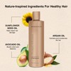MOEHAIR Protein Infused Shampoo (12 Fl Oz) | Anti-Frizz, Moisturizing