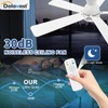 Dolavast Ceiling Fans with Lights and Remote, 48 Inch Ceiling