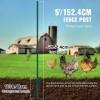 5 Feet Heavy-Duty Green Metal Fence Posts 10-Pack T-Post for