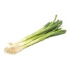 Onion Bunching Tokyo Long White Great Heirloom Vegetable by Seed Kingdom 1 OZ Seeds