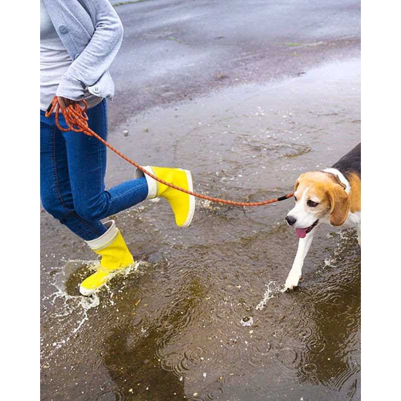 100FT Extra Long Dog Leash for Dog Training, Reflective Threads
