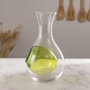 Urban Tokyo Japanese Cold Sake Wine Glass Decanter 12 fl