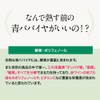 オーガランド 酵素の恵み（60g）青パパイヤ酵素 パパイヤ酵素 青パパイヤ パウダー鹿児島産 無農薬 無添加 粉末