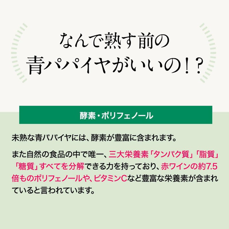 オーガランド 酵素の恵み（60g）青パパイヤ酵素 パパイヤ酵素 青パパイヤ パウダー鹿児島産 無農薬 無添加 粉末