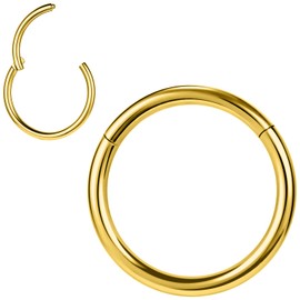 PunkTracker 1Pcs Titanium Steel 20G 18G 16G 6/7/8/9/10mm Cartilage Tragus Helix Earring Hoop Lip Rings Nose Rings Nose Piercings Helix Conch Septum Jewellery