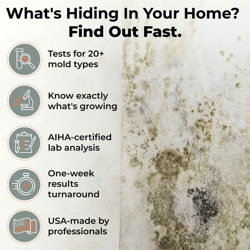 Mold Test Kit – Lab Fees Included, Detects 20+ Mold