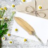 Pen Set, European Style Dip Pen Vintage Calligraphy Quill for