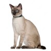 Cat Collar Breakaway 2PCS Adjustable Pattern Tribal Aztec Southwest Safety