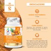 Colours Of Life Bromelina da Gambo d'Ananas 2500 GDU -