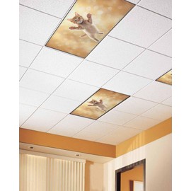 Cute Orange Cat Fluorescent Light Covers for Ceiling Lights 4x2 feet,1 Pack Magnetic Light Filters for Classroom,Lovely Modern Floating Pet Kitten Fluorescent Lights Shade Panel for Office School Drop
