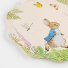 Meri Meri Peter Rabbit™ Dinner Plates (Pack of 8), Disposable
