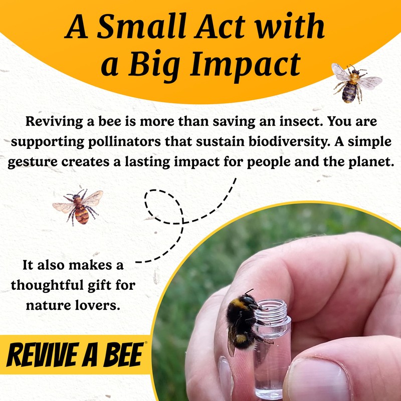 Revive a Bee Gold Bee Revival Kit, Keyring with Sugar