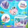 Vertintong Axolotl DIY Tank Axolotl Craft with 3 Pcs Mini
