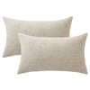JOTOM Set of 2 Cushion Covers 45x45 cm Soft Chenille