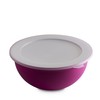 OMADA Sanaliving Large Kitchen Bowl with Lid 6.5L Antibacterial Lightweight