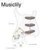Musiclily Basic 11 Hole SSS Stratocaster Pre-wired Pickguard Ceramic Single