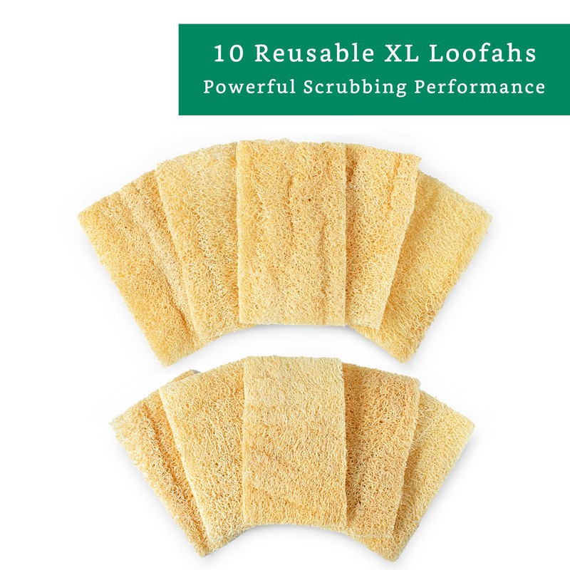 Natural Loofah Kitchen Sponge (XL - 10 Pack) - Natural