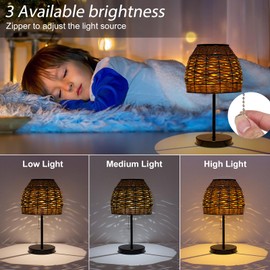 Livinlarge Outdoor Solar Table Lamp,3 Color Temperatures Bedside Lamps with USB-C Ports,Boho Desk Lamps Pull Chain Table Lamps with Black Metal Base for Garden,Yard,Patio,Lawn Outdoor Decor