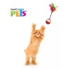 Fancy Pets Caja 48 Juguetes Surtidos P/ Gato Ideal Veterinaria