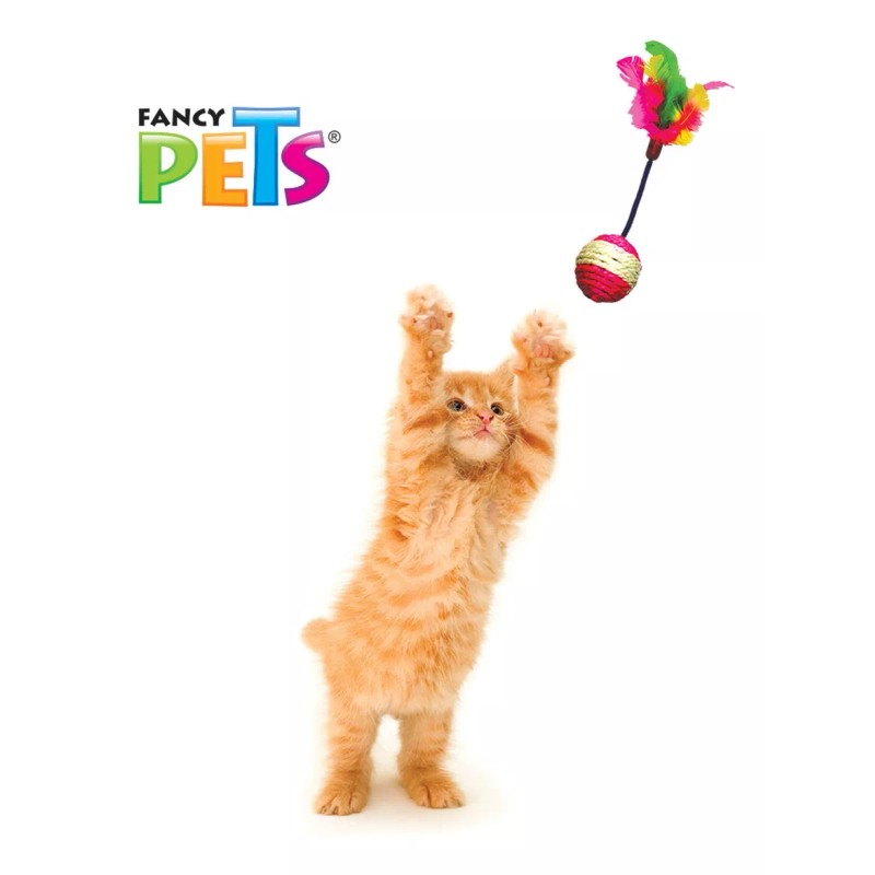 Fancy Pets Caja 48 Juguetes Surtidos P/ Gato Ideal Veterinaria