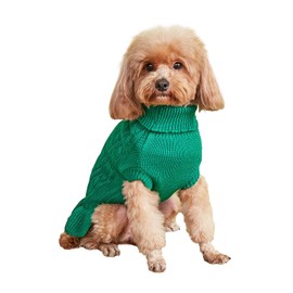 Bwealthest Dog Sweater - Cute Knitted Classic Cat Sweater & Coat for Girls Dog Puppy Cat (Green, XX-Small)