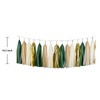Shiny Tassel Garland Tissue Paper Tassel Banner,Table Decor,DIY Kits for