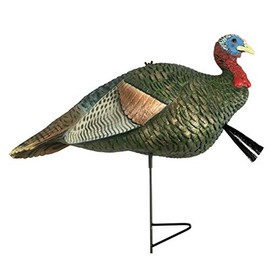 The Grind Half Strut Jake Decoy, Realistic Jake Turkey Decoy with 2-Piece Motion Stake
