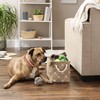 Bone Dry Pet Storage Paw and Bone, Trellis Collection, Small